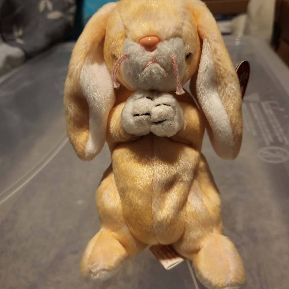 Grace the Bunny